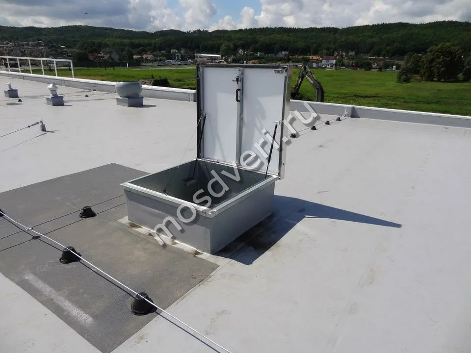 ��� �� ����� 1000x1000 �-115